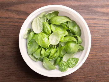 5 Herbs That Are Good for Dogs: Vet-Verified Safety & Benefits