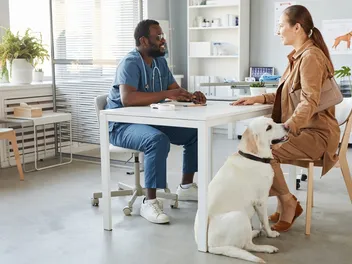 How Long Does It Take to Spay a Dog? Vet-Reviewed Facts & FAQ