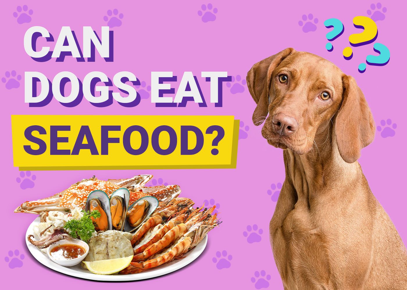 Can Dogs Eat Seafood