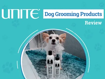 UNITE Hair DOGGY'POO Review 2026: An Expert’s Breakdown