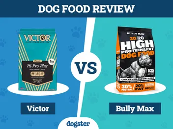 Victor Dog Food vs Bully Max: Our 2026 Comparison - Pros, Cons & What to Choose