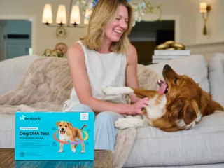 How DNA Testing Helps You Understand (and Love) Your Dog Even More