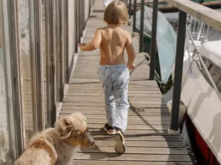 Why Does My Australian Shepherd Follow Me Everywhere? 4 Reasons & Tips to Prevent It