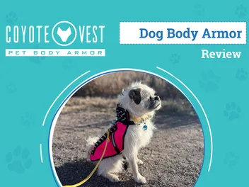 CoyoteVest Review 2026: An Expert's Breakdown