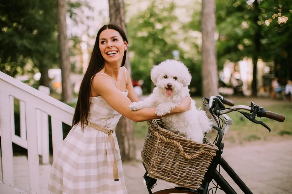 Pretty young woman putting white bichon frise dog in the basket of electric bike