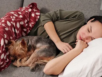 Do Dogs Like Sleeping With Their Owners? Vet-Approved Info & Facts