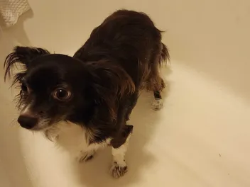 Bath Time & Penny’s Magical Weight Loss Transformation