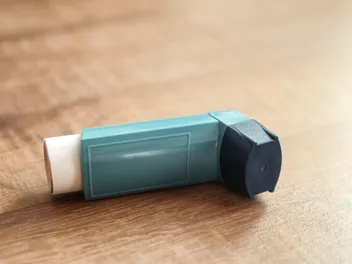 My Dog Chewed My Inhaler, Should I Worry? Our Vet Explains What to Do