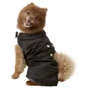 Frisco Formal Dog & Cat Tuxedo
