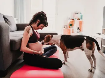 Why Is My Dog Licking My Belly Button? 7 Reasons & What to Do