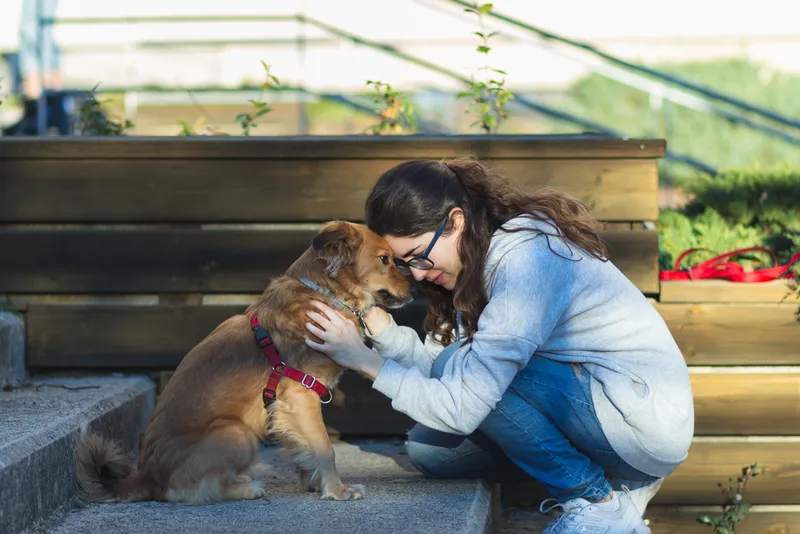 Girl caresses a dog and they support their head on some stairs