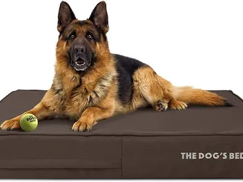 10 Best Waterproof Dog Beds in 2026 — Reviews & Top Picks