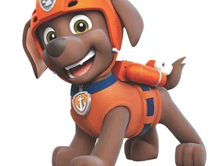 What Breed of Dog Is Zuma From Paw Patrol? Cartoon Dogs Presented