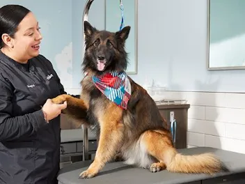 Stock Up, Look Sharp, and Save While You Shop at PetSmart