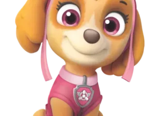 What Breed of Dog is Skye from Paw Patrol? Famous TV Dog Character Facts