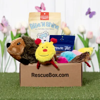 RescueBox Subscription
