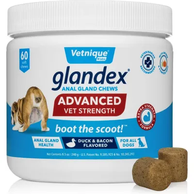 Vetnique Labs Glandex Advanced Vet Strength Anal Gland Fiber, Probiotic, Pumpkin &amp; Digestive Boot the Scoot Dog Supplement