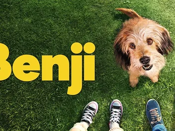 What Breed of Dog Is Benji? Famous Movie Character Facts
