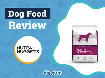 Nutra-Nuggets Dog Food Review 2026: Pros, Cons & Recalls