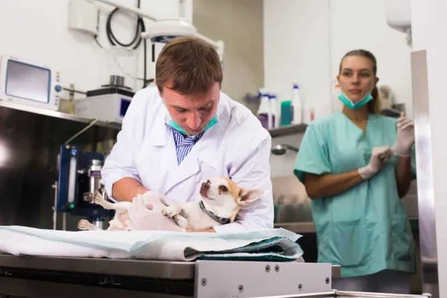 The Algorithm in the Exam Room: Who’s To Blame When AI Misdiagnosis Turns Deadly?