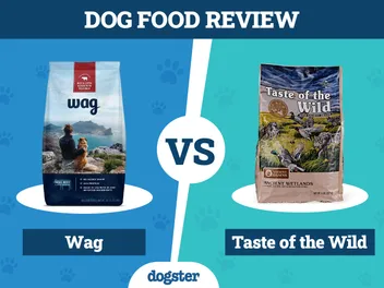 Wag vs Taste of the Wild Dog Food: 2026 Pros, Cons & What to Choose