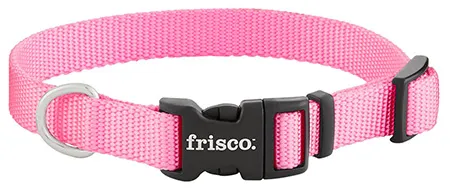 Frisco Solid Nylon Dog Collar