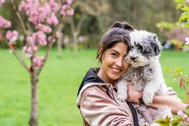 Are Havanese Affectionate and Cuddly? Temperament & Traits