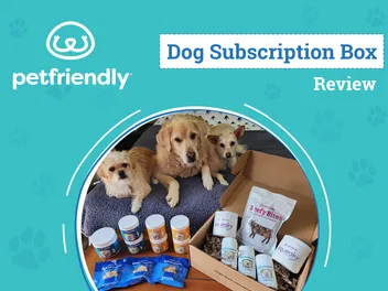 PetFriendly Box Review 2026: An Expert’s Breakdown