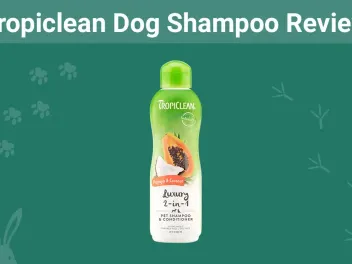 Tropiclean Dog Shampoo Review 2026