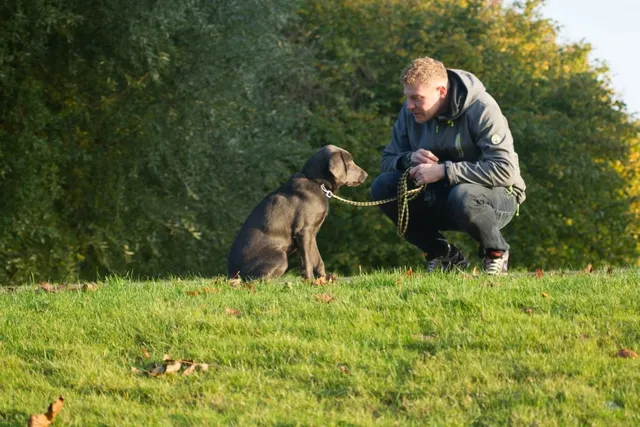 10 Health Benefits of Owning a Pet: Vet-Approved Facts