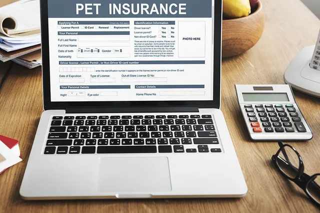 Does Pet Insurance Cover Heartworm Treatment? Standard Policies & FAQ