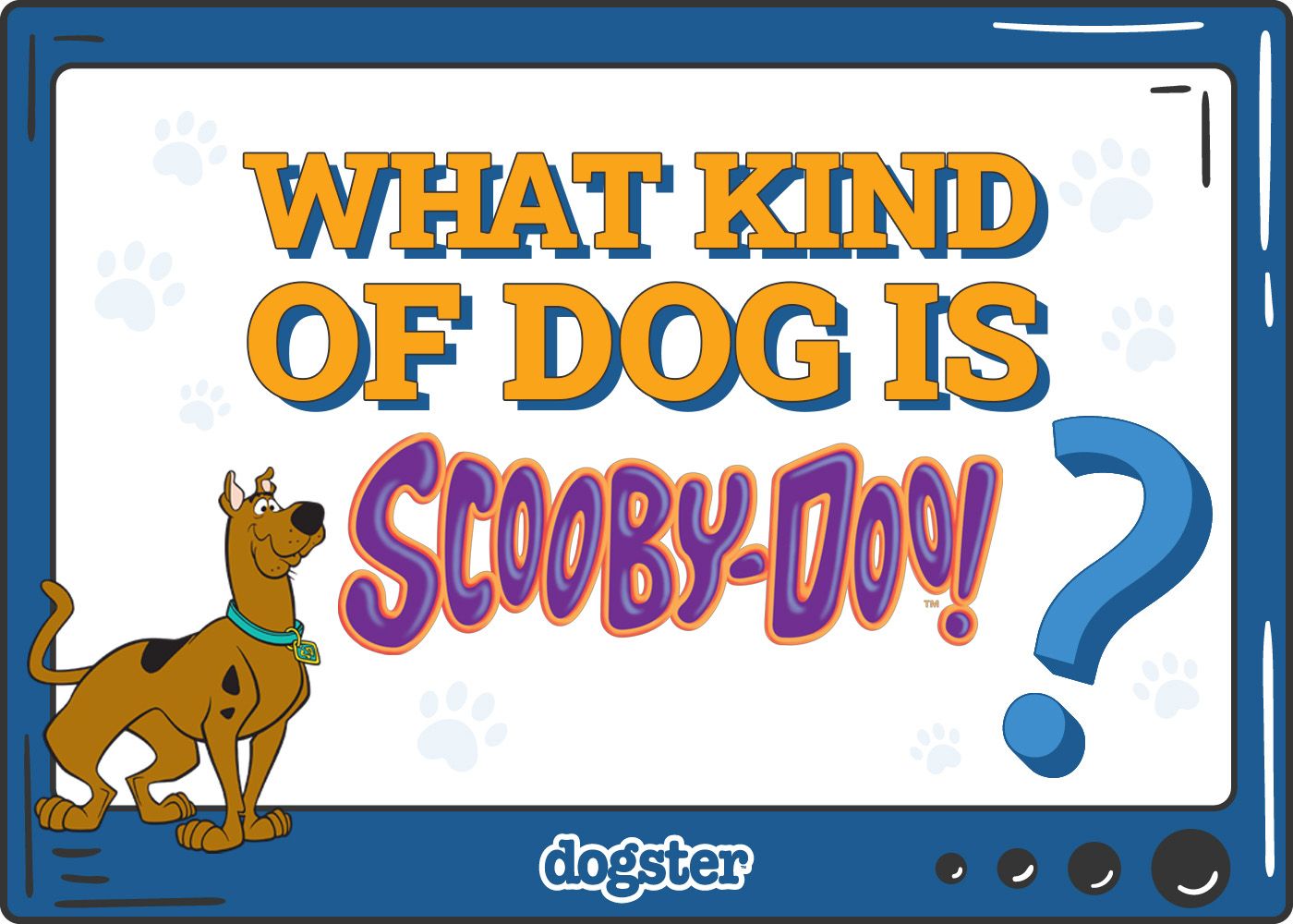 Dogster_What Kind of Dog is Scooby Doo