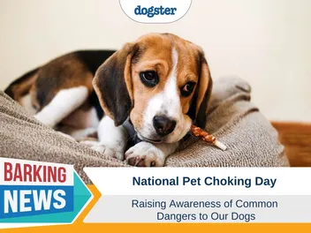 National Pet Choking Day: New Holiday Raises Awareness of Common Dangers to Our Dogs