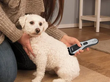 10 Best Cordless Dog Clippers in 2026: Reviews & Top Picks