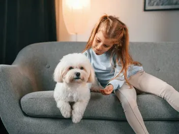 How Good Will a Maltese Be With Kids: Vet-Verified Facts & FAQ