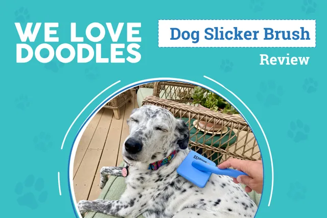 We Love Doodles Slicker Dog Brush Review 2026: An Expert's Breakdown