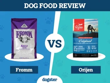 Fromm vs Orijen Dog Food: 2026 Comparison, Pros & Cons