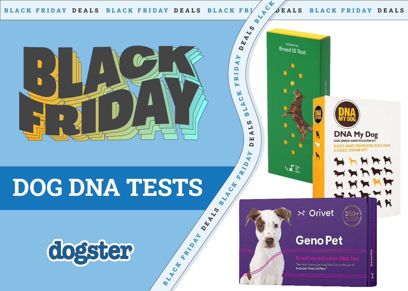 5 Best Black Friday/Cyber Monday Dog DNA Kit Deals & Sales 2026