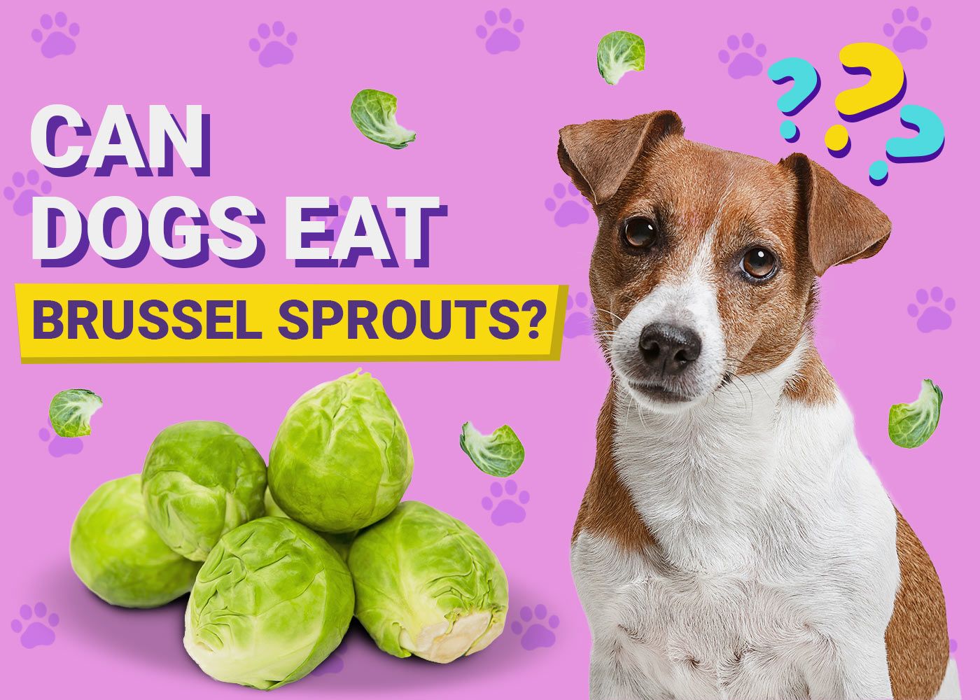 Can Dogs Eat Brussels Sprouts