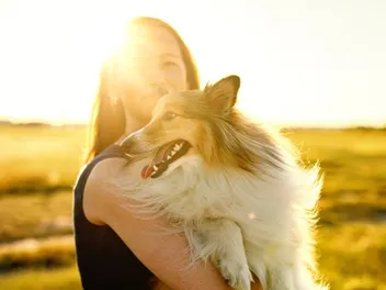 Do Shelties Like to Cuddle? Breed Facts & FAQ