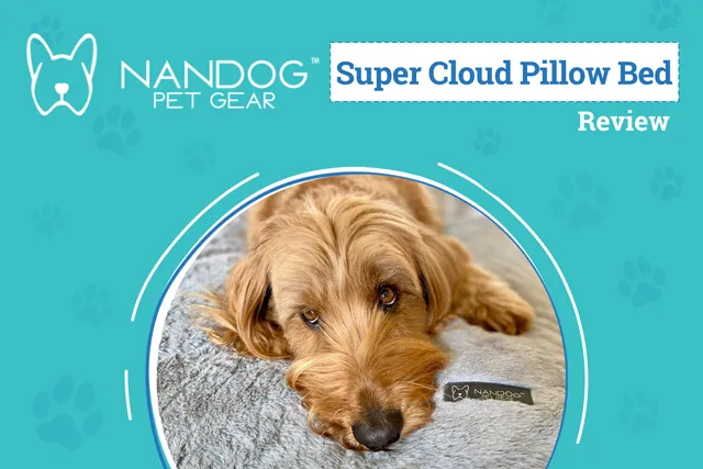 Nandog Super Cloud Pillow Bed Review 2026: A Comfy Spot for Your Furry Friend