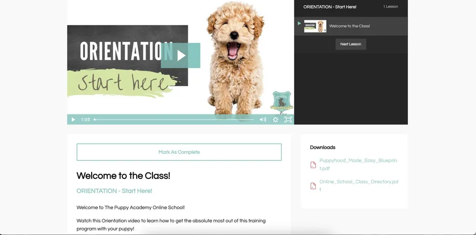 Puppy Academy Online School