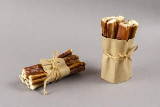 Can Dogs Get Addicted to Bully Sticks? Vet-Verified Feeding Facts
