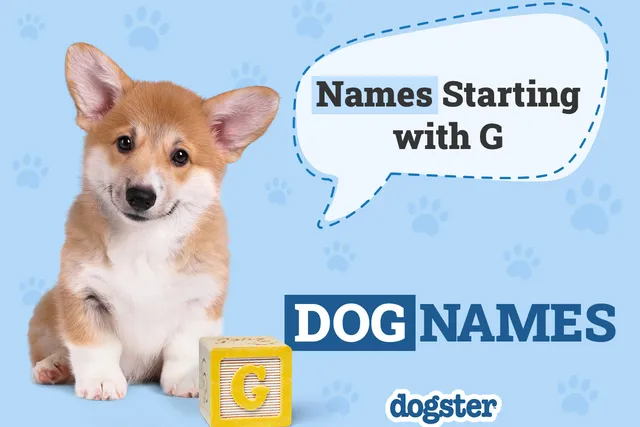 300 Dog Names Starting With G for Your Adorable Pup
