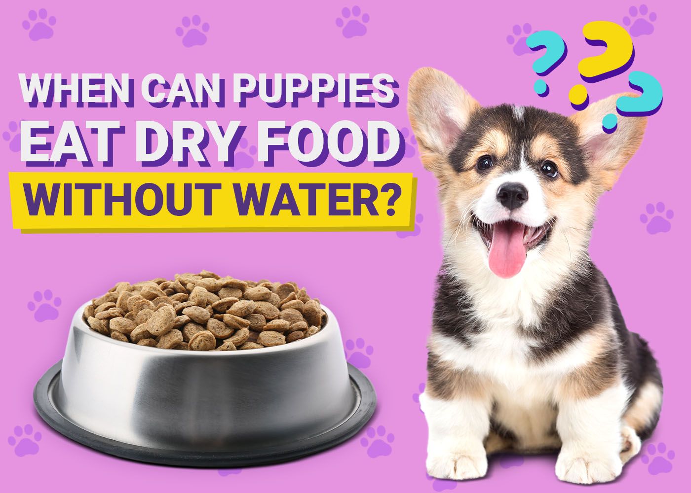 When Can a Puppy Eat Dry Food Without Water