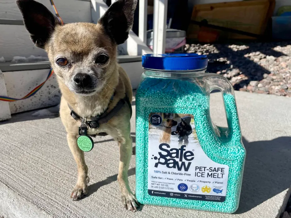 Safe Paw Ice Melter Review - dog with product