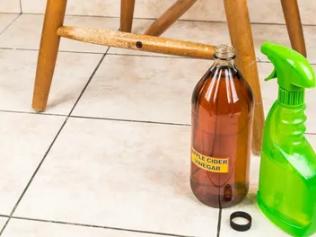 12 Homemade Dog Pee Repellents You Can Make Today