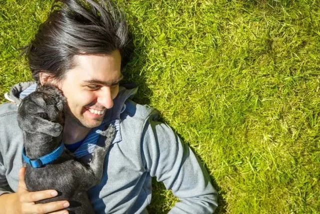 10 Dogs Bred for Companionship: With Pictures & Facts