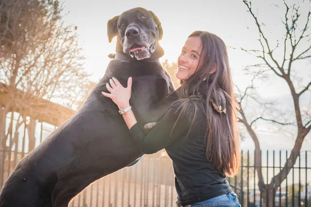 Who Are the Biggest Dogs in the World? 2026 World Records