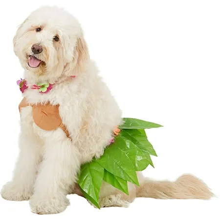 Rubie's Costume Company Hula Girl Dog &amp; Cat Costume
